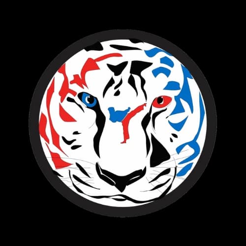 Tiger Eyes Carate Do logo